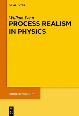 bokomslag Process Realism in Physics