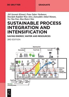 bokomslag Sustainable Process Integration and Intensification