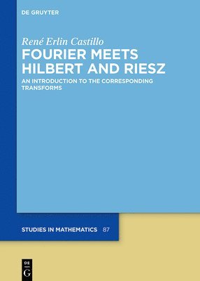 René Erlin Castillo - Fourier Meets Hilbert and Riesz, Inbunden