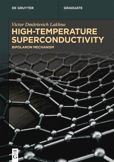 bokomslag High-Temperature Superconductivity