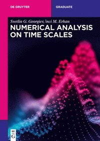 bokomslag Numerical Analysis on Time Scales