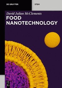bokomslag Food Nanotechnology