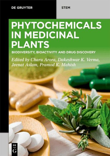 Charu Arora, Dakeshwar Kumar Verma, Jeenat Aslam, Pramod Kumar Mahish - Phytochemicals in Medicinal Plants, Häftad