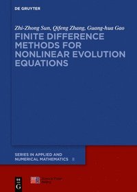 bokomslag Finite Difference Methods for Nonlinear Evolution Equations