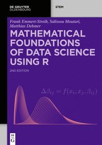 bokomslag Mathematical Foundations of Data Science Using R