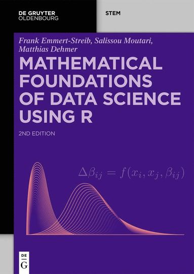 bokomslag Mathematical Foundations of Data Science Using R