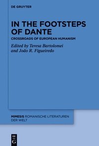 bokomslag In the Footsteps of Dante