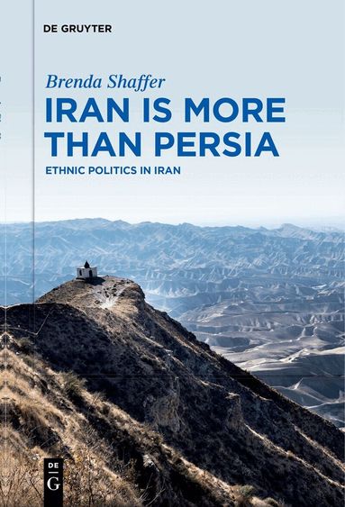 Brenda Shaffer - Iran is More Than Persia, Inbunden