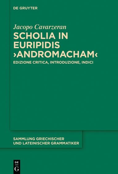 bokomslag Scholia in Euripidis ?Andromacham?