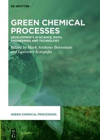 bokomslag Green Chemical Processes