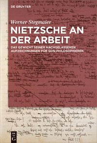 bokomslag Nietzsche an der Arbeit