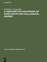 bokomslag A descriptive grammar of saidi Egyptian colloquial Arabic