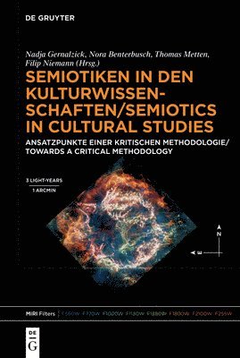 bokomslag Semiotiken in Den Kulturwissenschaften/Semiotics in Cultural Studies: Ansatzpunkte Einer Kritischen Methodologie/Towards a Critical Methodology