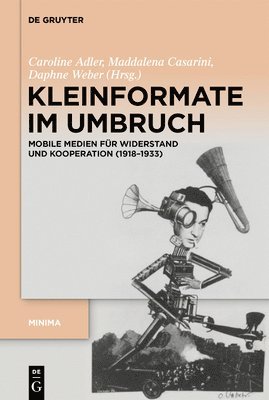 bokomslag Kleinformate im Umbruch