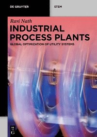 bokomslag Industrial Process Plants