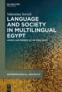 bokomslag Language, Society and Ideologies in Multilingual Egypt