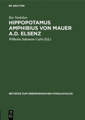 Hippopotamus Amphibius Von Mauer A.D. Elsenz 1