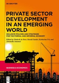 bokomslag Private Sector Development in an Emerging World