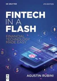 bokomslag Fintech in a Flash