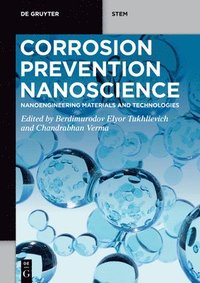 bokomslag Corrosion Prevention Nanoscience