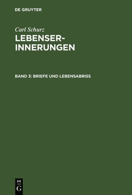 bokomslag Briefe und Lebensabriß