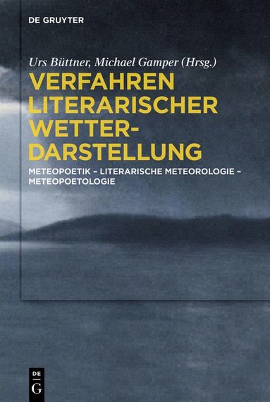 Urs Büttner, Michael Gamper - Verfahren literarischer Wetterdarstellung, Häftad
