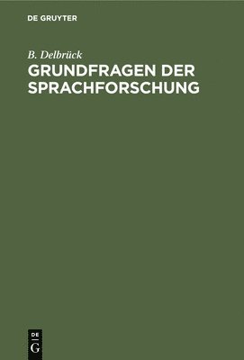 bokomslag Grundfragen der Sprachforschung