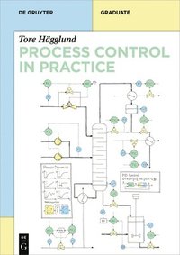 bokomslag Process Control in Practice