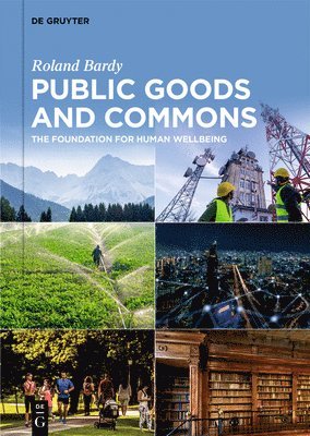 Public Goods and Commons 1