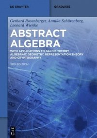 bokomslag Abstract Algebra