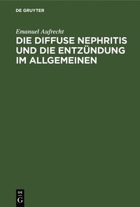 bokomslag Die Diffuse Nephritis Und Die Entzndung Im Allgemeinen