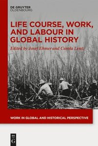bokomslag Life Course, Work, and Labour in Global History