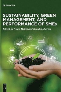 bokomslag Sustainability, Green Management, and Performance of SMEs