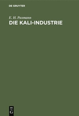 bokomslag Die Kali-Industrie