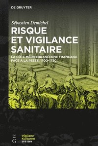 bokomslag Risque et vigilance sanitaire