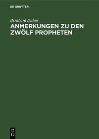 bokomslag Anmerkungen Zu Den Zwlf Propheten