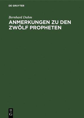 bokomslag Anmerkungen Zu Den Zwlf Propheten