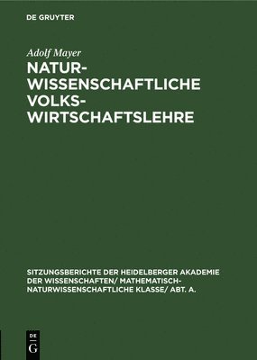 bokomslag Naturwissenschaftliche Volkswirtschaftslehre