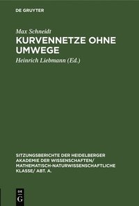 bokomslag Kurvennetze Ohne Umwege