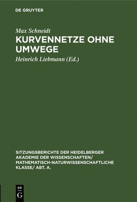 Kurvennetze Ohne Umwege 1