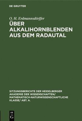 bokomslag Über Alkalihornblenden Aus Dem Radautal