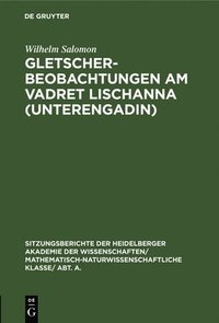 bokomslag Gletscherbeobachtungen Am Vadret Lischanna (Unterengadin)