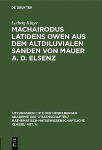 bokomslag Machairodus Latidens Owen Aus Dem Altdiluvialen Sanden Von Mauer A. D. Elsenz