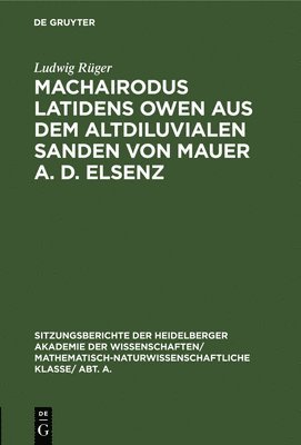 Ludwig Rüger - Machairodus Latidens Owen Aus Dem Altdiluvialen Sanden Von Mauer A. D. Elsenz, Inbunden