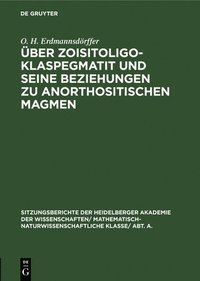 bokomslag ber Zoisitoligoklaspegmatit Und Seine Beziehungen Zu Anorthositischen Magmen