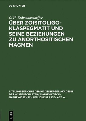 bokomslag ber Zoisitoligoklaspegmatit Und Seine Beziehungen Zu Anorthositischen Magmen