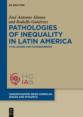 bokomslag Pathologies of inequality in Latin America