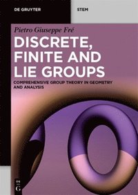 bokomslag Discrete, Finite and Lie Groups