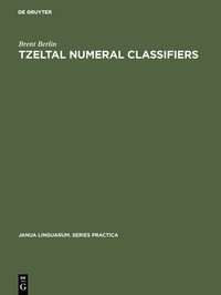 bokomslag Tzeltal numeral classifiers