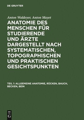 Anton Waldeyer, Anton Mayet, Anton Waldeyer, Anton Mayet - Allgemeine Anatomie, Rücken, Bauch, Becken, Bein, Inbunden